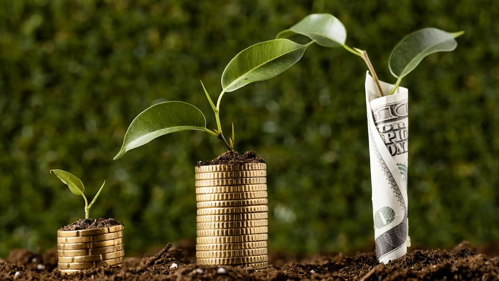 Sovereign Green Bonds in the IFSC