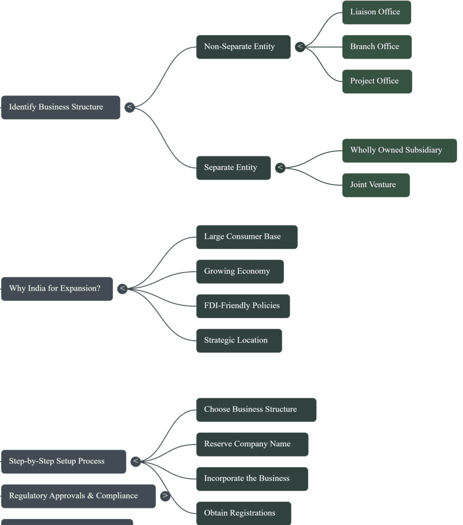Flowchart of Entire Process - Foreign Company setting Business in India
